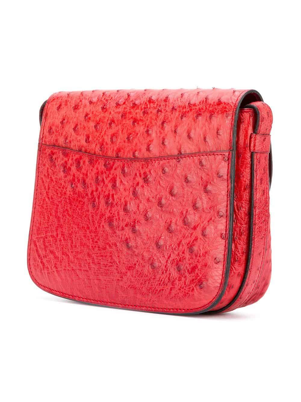 celine ostrich bag